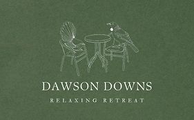 Dawson Downs